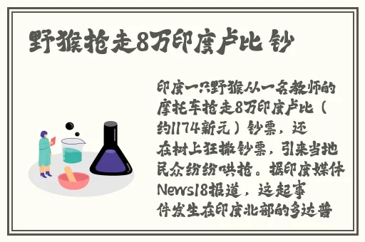 榴莲草莓向日葵黄瓜下载